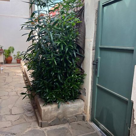 Atico Casa De Invitados Bluemoon La Laguna  Dış mekan fotoğraf